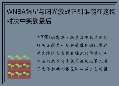 WNBA银星与阳光激战正酣谁能在这场对决中笑到最后