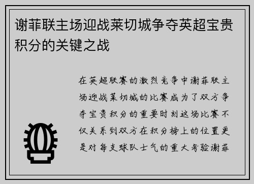 谢菲联主场迎战莱切城争夺英超宝贵积分的关键之战