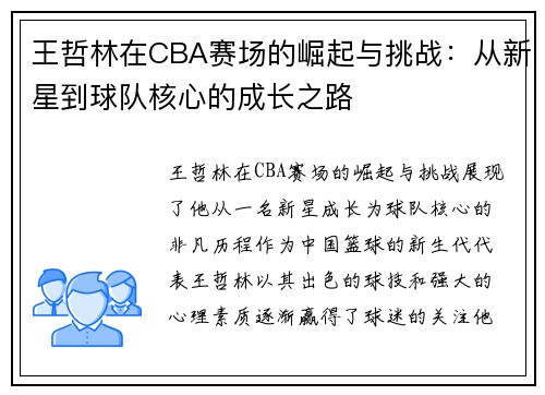 王哲林在CBA赛场的崛起与挑战：从新星到球队核心的成长之路