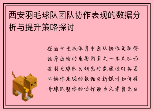 西安羽毛球队团队协作表现的数据分析与提升策略探讨