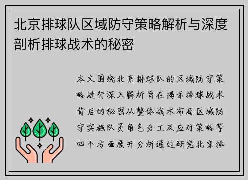 北京排球队区域防守策略解析与深度剖析排球战术的秘密