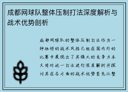 成都网球队整体压制打法深度解析与战术优势剖析